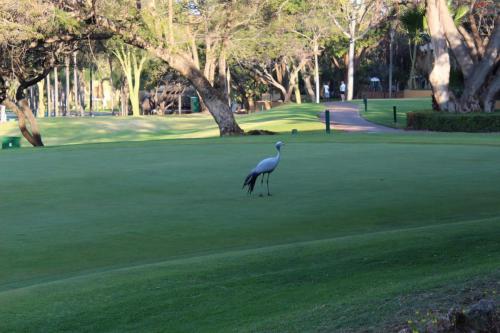 IMG 0540 resize